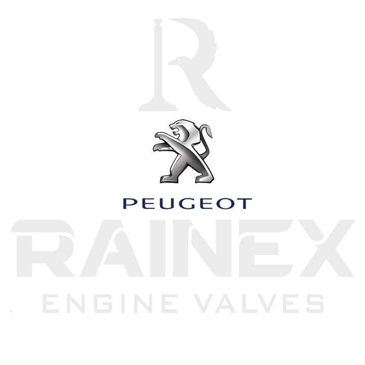 Peugeot Grubu