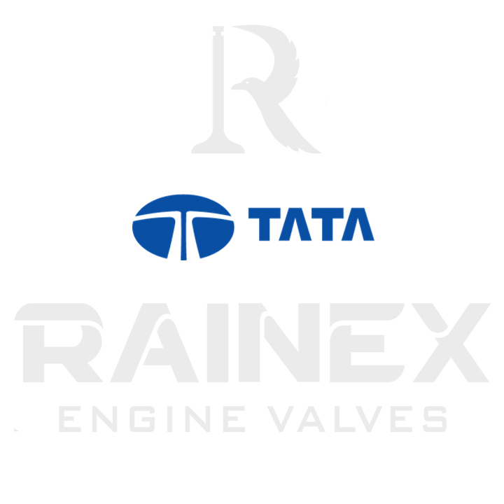 Tata Grubu