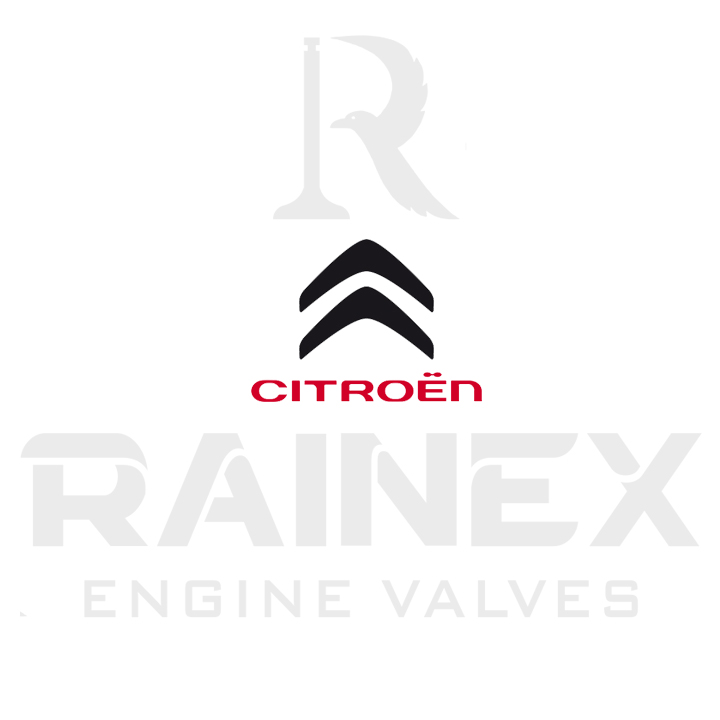 Citroen Grubu